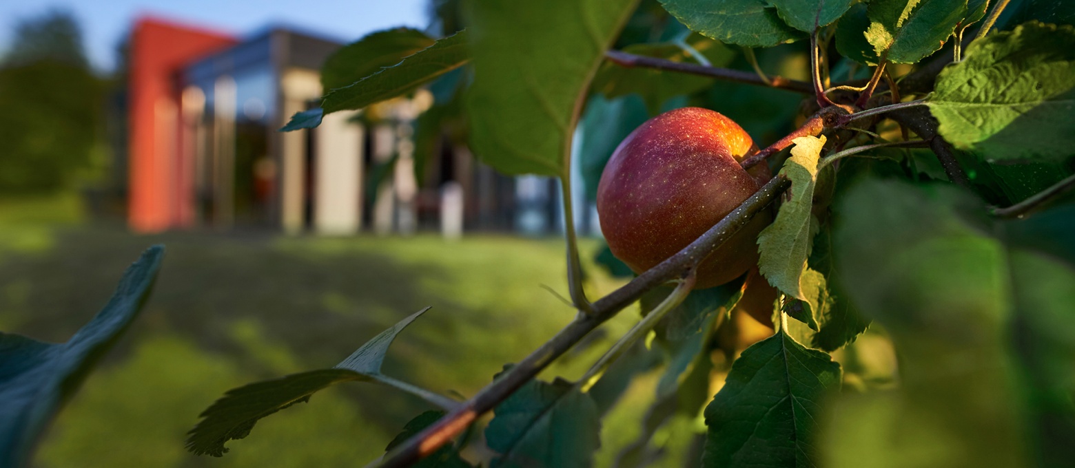 Slider 2 2 Raum fuer Ideen slide 06