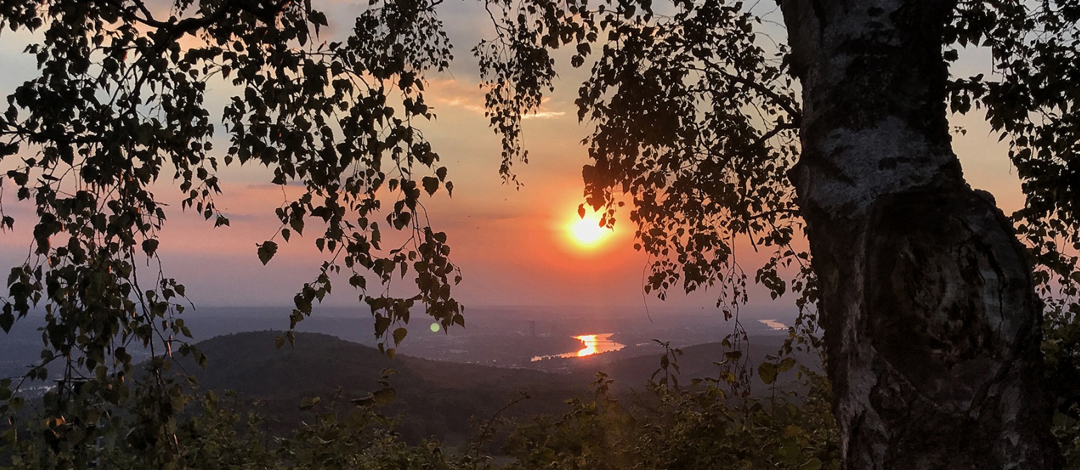 Sonnenuntergang auf dem Ölberg