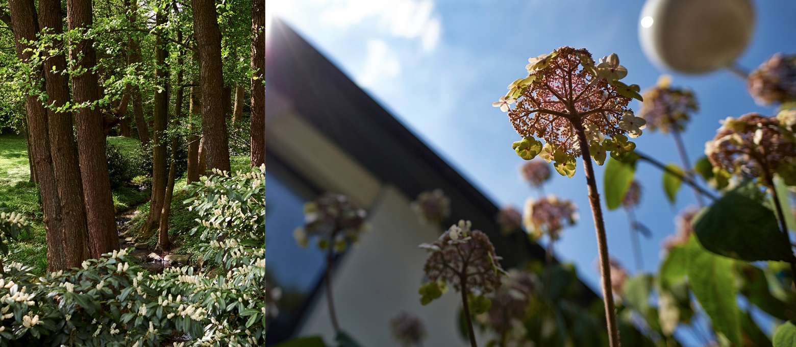 Slider 4 1 Park Sonnenterrassen slide 03