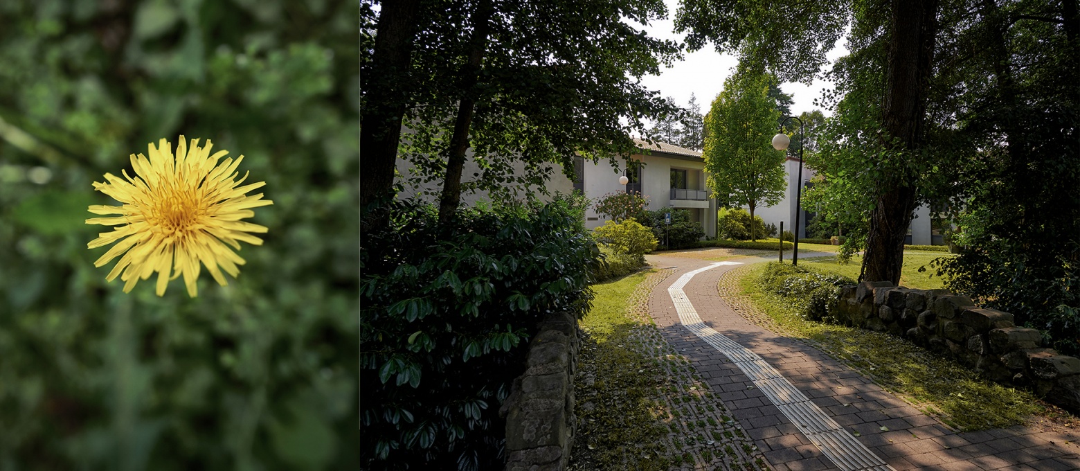 Brücke über den Bach zu Gästehäusern