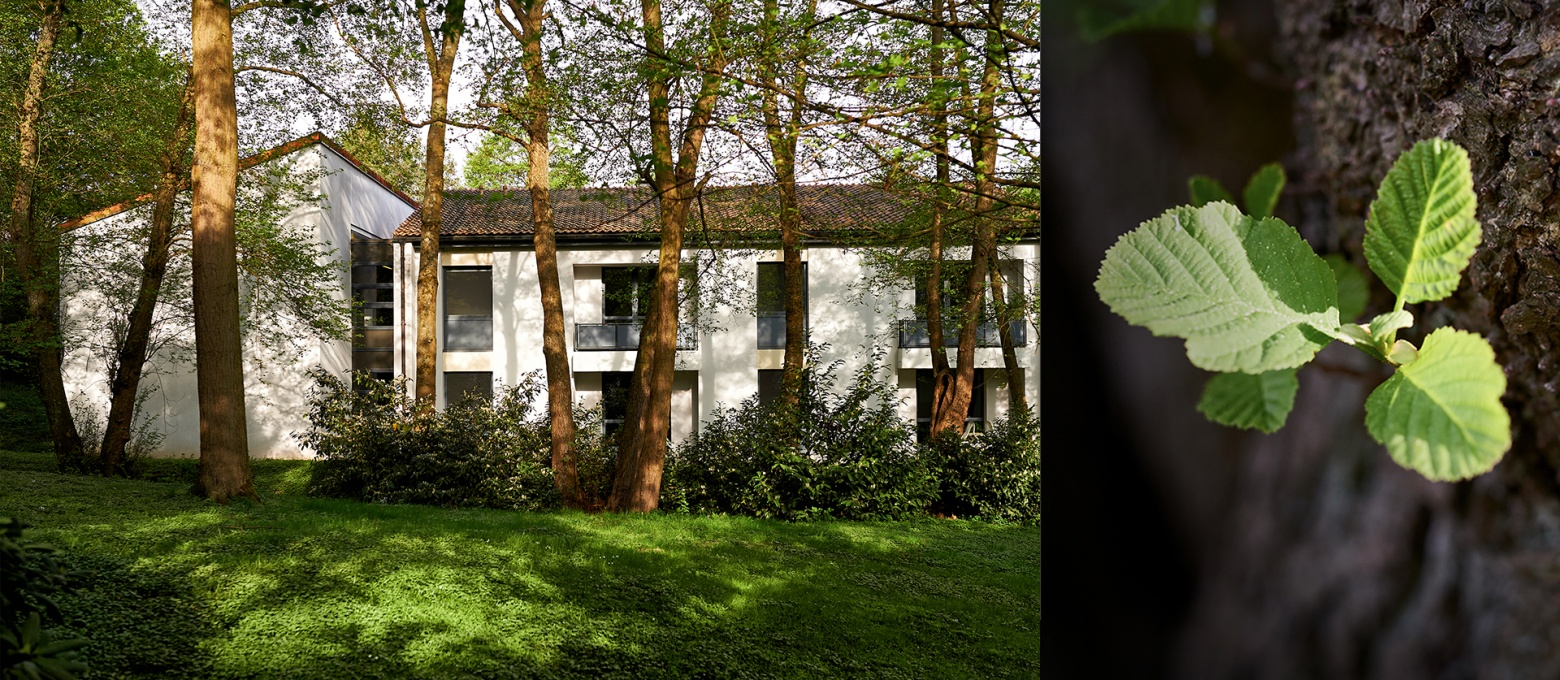 Parkwäldchen mit Gästehaus Ölberg