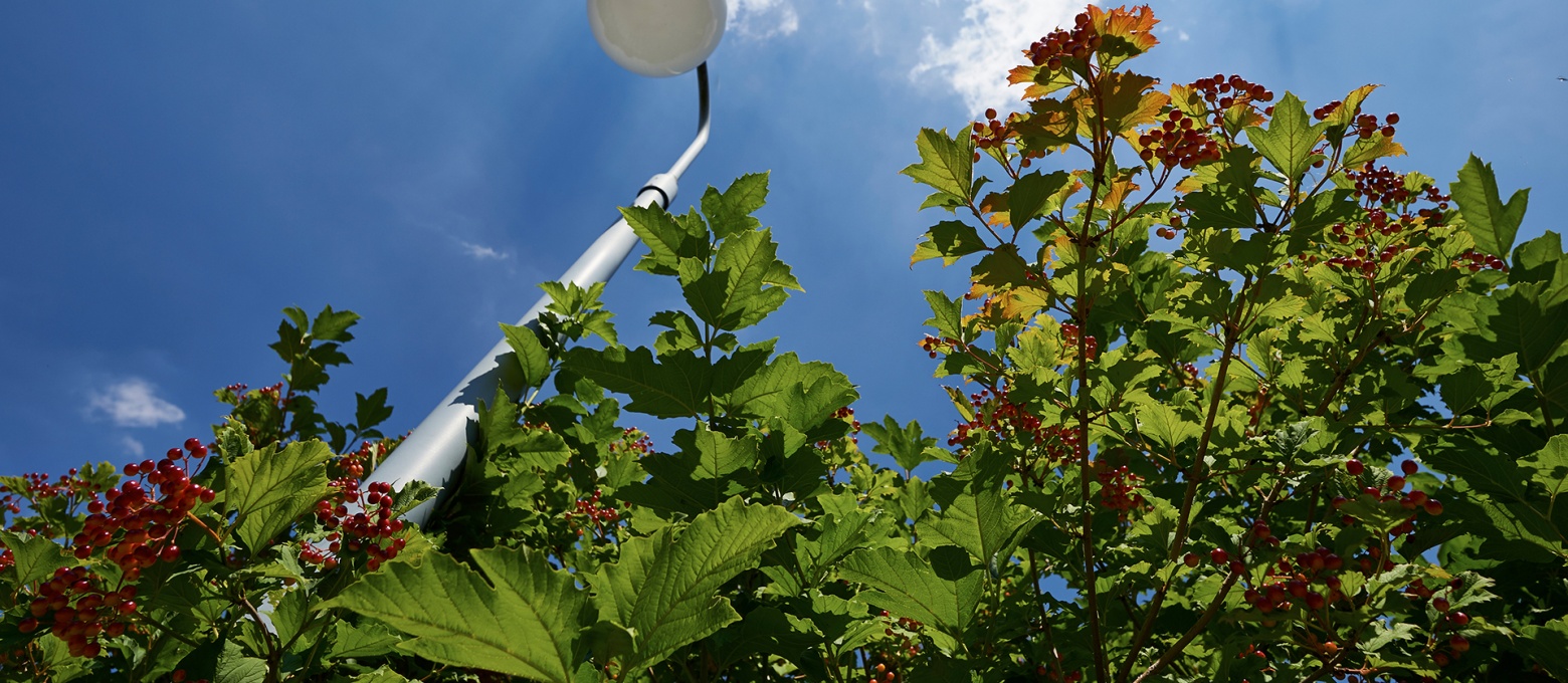 Slider 4 1 Park Sonnenterrassen slide 04