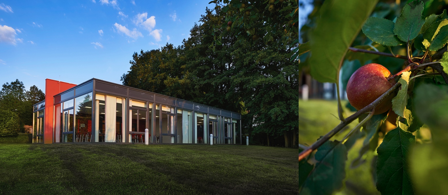 Die Wolkenburg – für Workshops auf der grünen Wiese