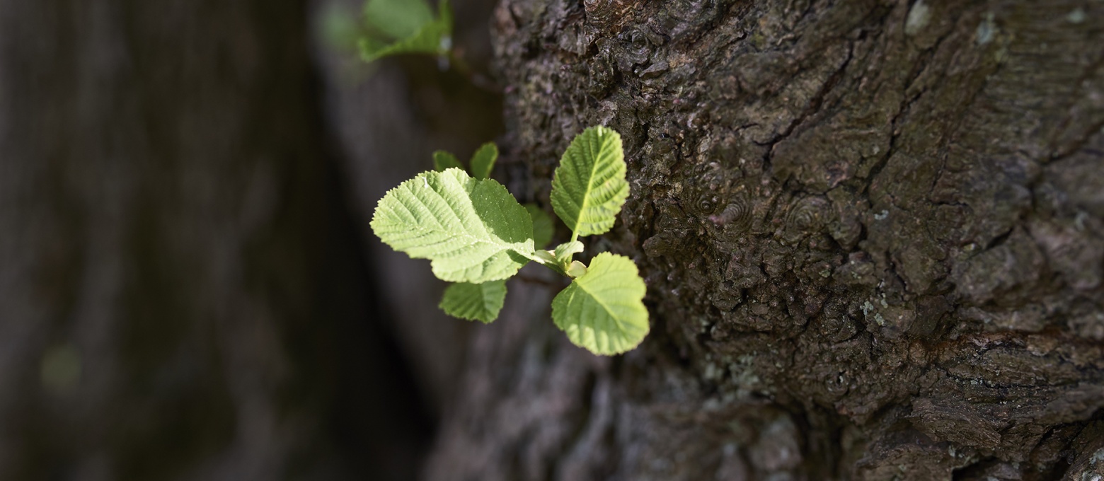 02 dbb7 Aussen Park DSC 5480 1920